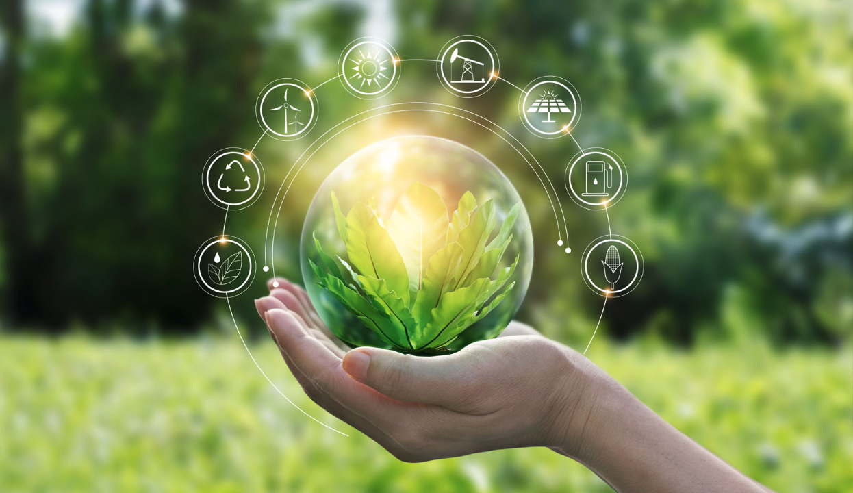 Leading by Example: Google and Apple Take Important Green Steps